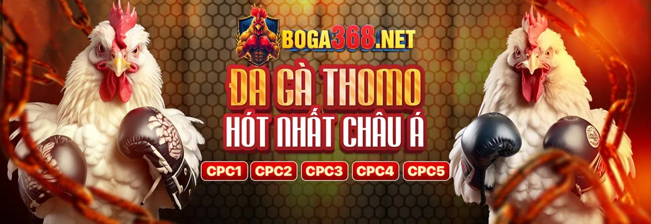 Trải nghiệm cá cược đỉnh cao tại Banca90